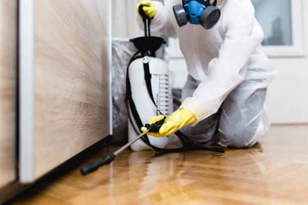 Best Pest Control for Homes  in Fairview, TX