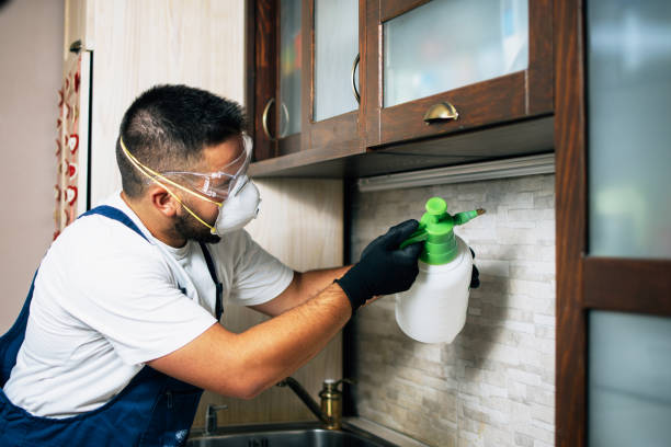Best Mosquito Control Services  in Fairview, TX