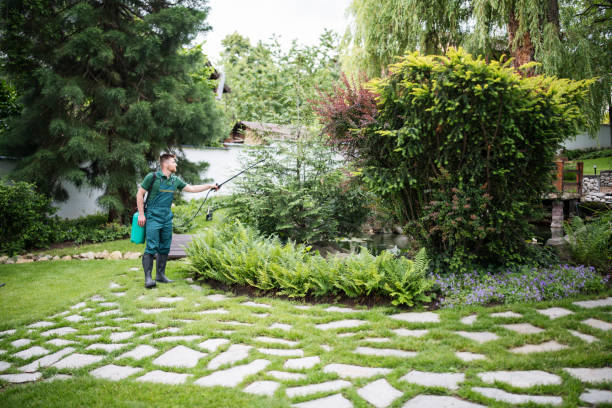Best Pest Removal Services  in Fairview, TX