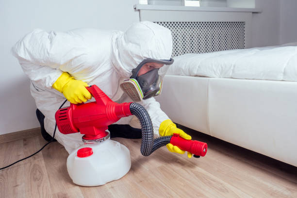Flea Control Services in Fairview, TX