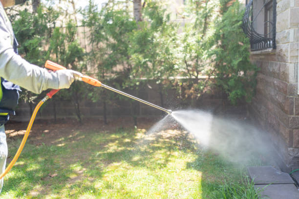 Trusted Fairview, TX Pest Control Experts