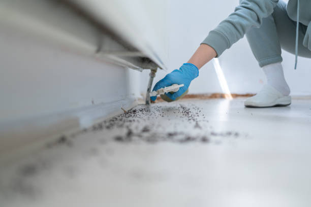 Best Pest Control Near Me  in Fairview, TX