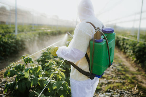 Best Emergency Pest Control  in Fairview, TX